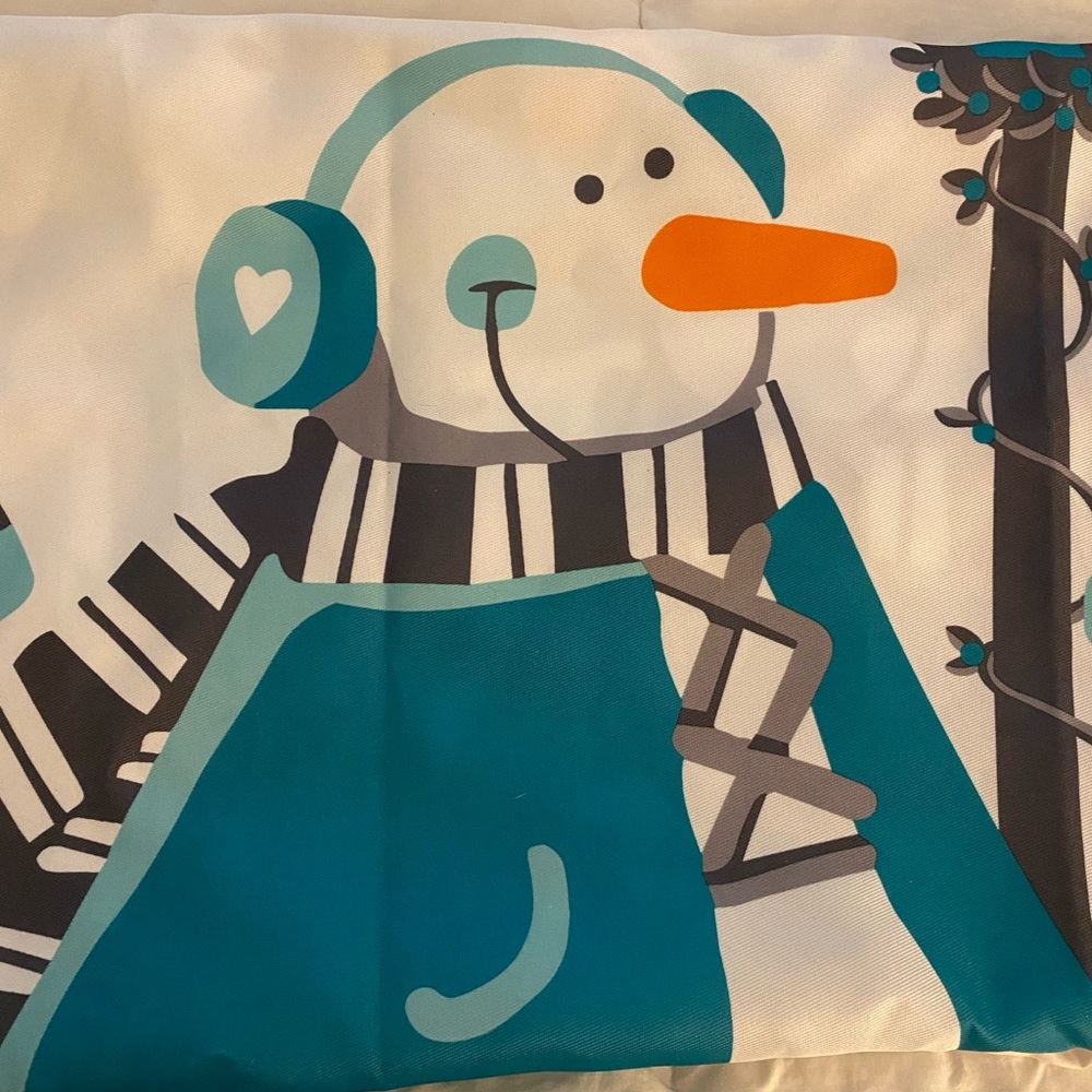 Snowman shower curtain with 12 snowman hooks!